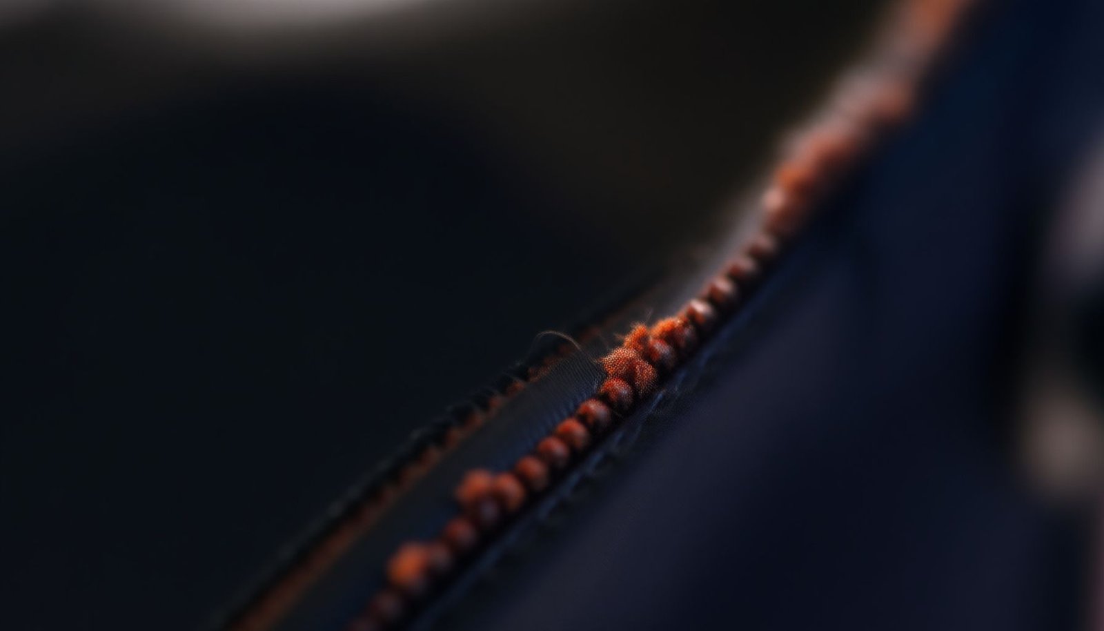 bed bugs in luggage close-up view