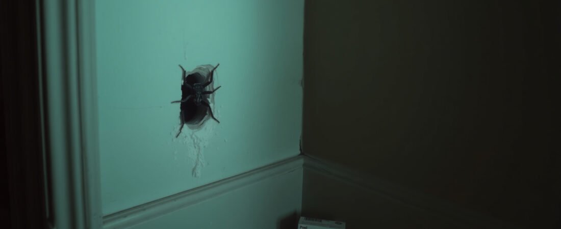 How to Get Rid of Cockroaches in Walls You Can’t Reach