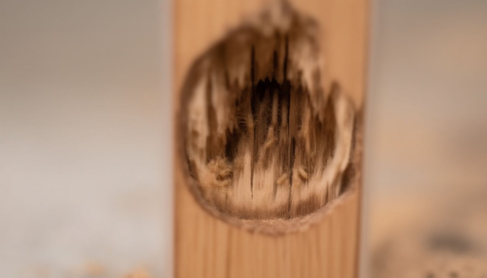 termite detection devices close-up view