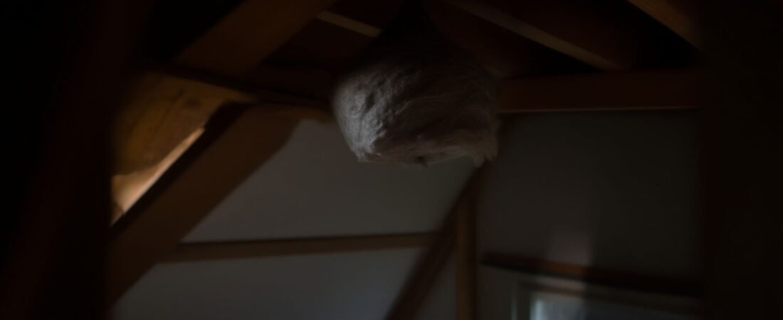 How to Get Rid of Wasps in the Attic Without Chemicals