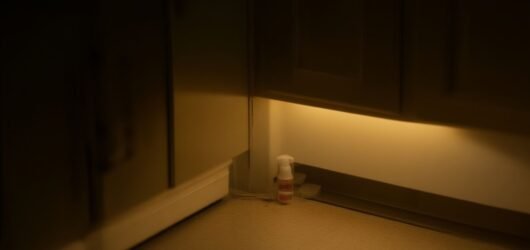 Best Roach Fogger Alternatives for Apartments